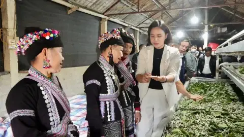 Cẩm Nang Toàn Tập Về Bao Sái Bàn Thờ Và Cách Rút Chân Nhang Đón Năm Mới