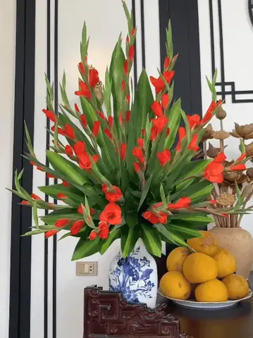 Loài Nên Cắm Bàn Thờ