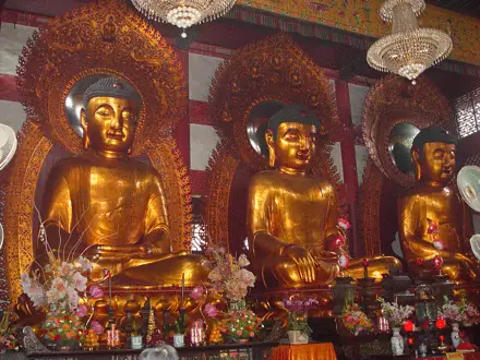 Kinh Phân Biệt Cúng Dường (kinh Số 142 ...