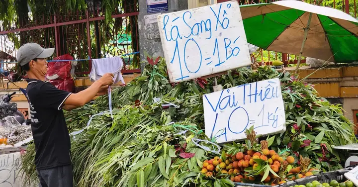 Tết Đoan Ngọ: Lá Thơm, Bánh Ú Mua Bán Rộn Ràng - Tuổi Trẻ Online