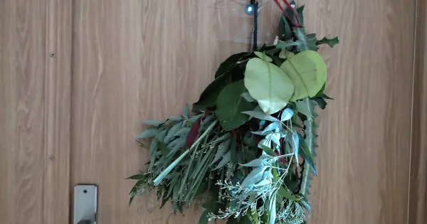 Ý Nghĩa Của Việc Treo Bó Lá Xông Và Nhánh Xương Rồng Trước Cửa ...