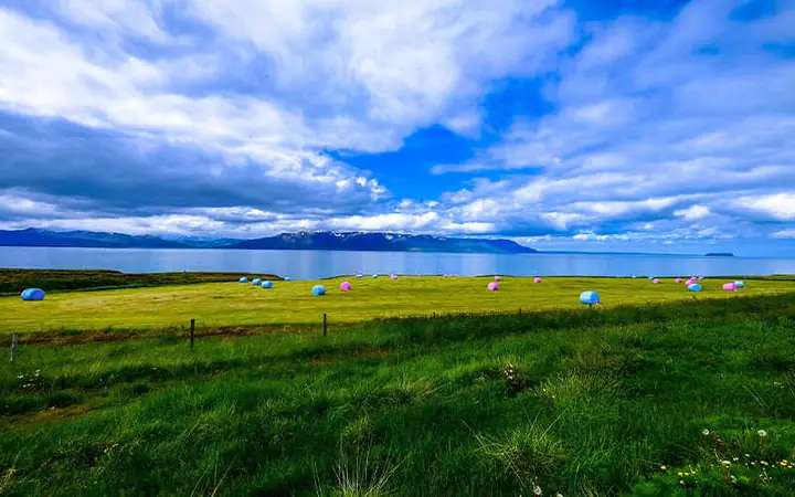 Cẩm Nang Toàn Tập Về Bộ Tam Sên Cúng Thần Tài: Nguồn Gốc, Ý Nghĩa Và Cách Chuẩn Bị Chuẩn Xác