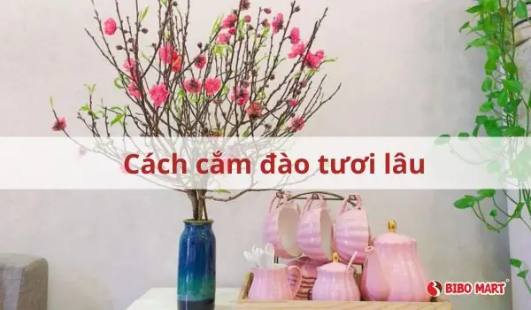 Bật Mí Cách Cắm Đào Tươi Lâu Và Nở Đúng Dịp Tết - Cẩm Nang Bibomart