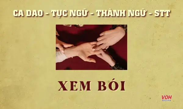 56 Câu Ca Dao, Thành Ngữ, Tục Ngữ, Stt Xem Bói Hài Hước