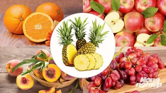 Những Loại Trái Cây Cúng Ngày Vía Thần Tài Mang Nhiều Tài Lộc