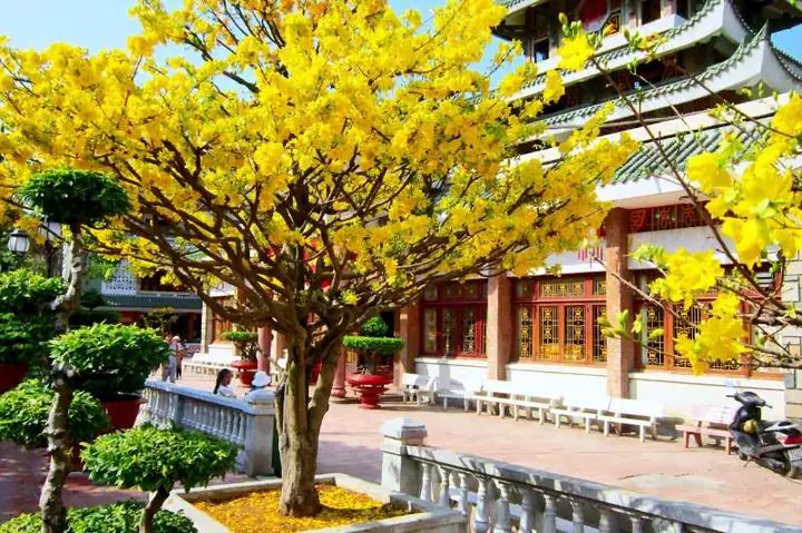 Cẩm Nang Trọn Vẹn Các Món Ngon Trong Mâm Cúng Ngày Tết