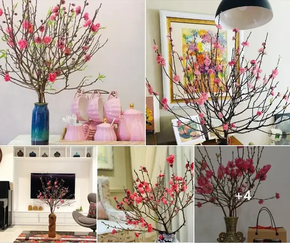 Ý Nghĩa Phong Thủy Và Cách Cắm Đào, Cành Tuyết Mai Nở Đẹp, Tươi ...