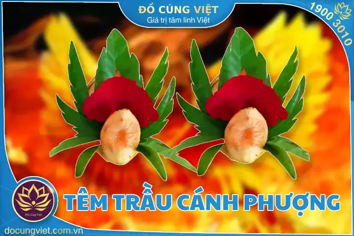 Hướng Dẫn Chi Tiết Cách Cắt Cau Cúng Đúng Nghi Lễ, Tốt Phong Thủy