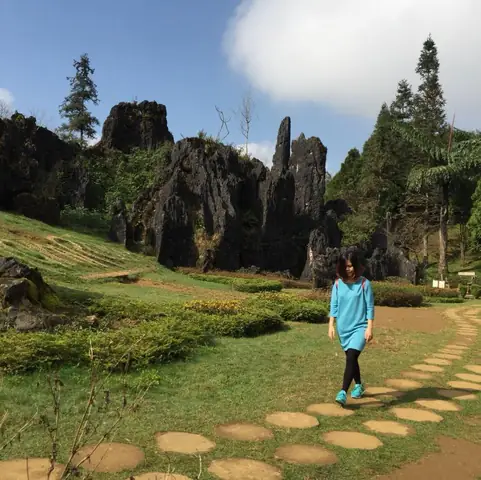 Cẩm Nang Chi Tiết Về Sao Hạn Và Cách Cúng Giải Hạn Cho Người Tuổi Tý Năm 2025