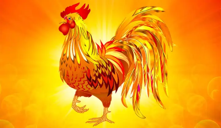 Sinh Năm 1957 Là Mệnh Gì? Vận Mệnh Của Người Tuổi Đinh Dậu