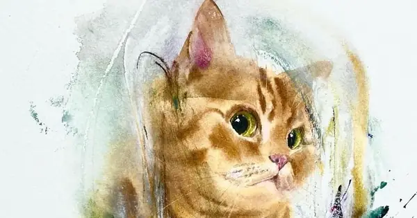 Mèo Trong Đời Sống Văn Hoá, Tâm Linh Người Việt