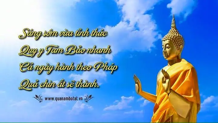 Chưa Hiểu Rõ Về " Quy Y Tam Bảo" Nên Có Những Sai Lầm ...
