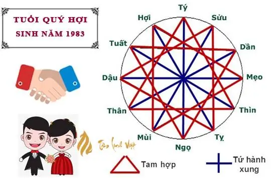 Xem Tử Vi Tuổi Quý Hợi Nữ Mạng 1983 Năm 2026 Mới Nhất - Tâm ...