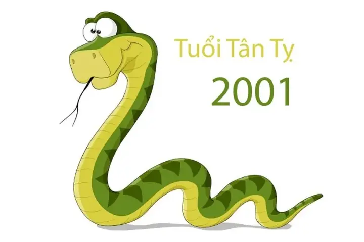 Tuổi Tân Tỵ 2001 Gặp Sao Chiếu Mệnh Nào Năm 2026?