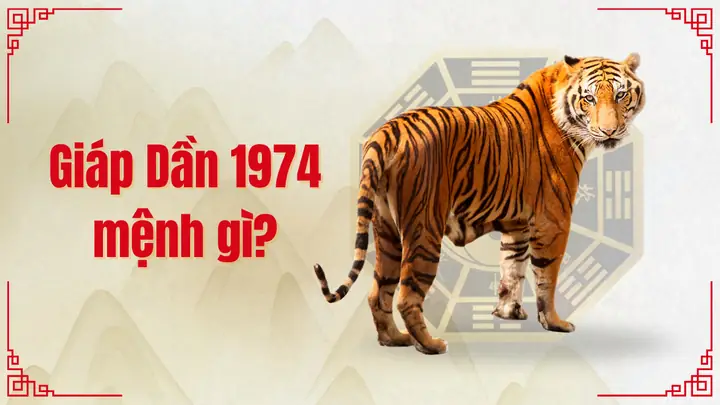 Nam Nữ Giáp Dần 1974 Mệnh Gì? Hợp Màu Gì Hợp Tuổi Nào?