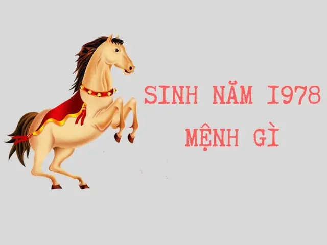 Nam, Nữ Tuổi Mậu Ngọ 1978 Mệnh Gì, Hợp Màu Gì?