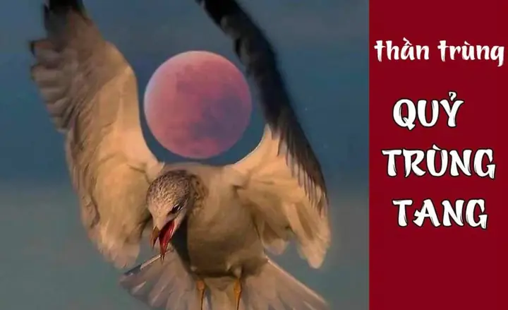 Sự Thật Về Thần Trùng, Trùng Tang Có Thật Không ...