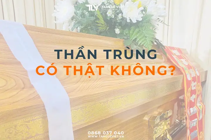 Luận Về Thần Trùng Hay Còn Gọi Là Trùng Tang Khi Đã Mai Táng - Dịch ...