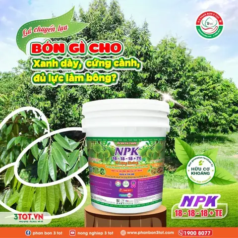 Lá Chuyển Lụa – Bón Gì Cho Xanh Dày, Cứng Cành, Đủ Lực Làm Bông?