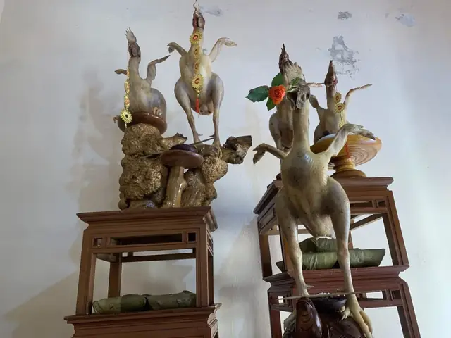 Khám Phá Bí Quyết Tạo Gà Cúng Bay Đẹp Mắt, Độc Đáo Dịp Rằm Tháng Giêng