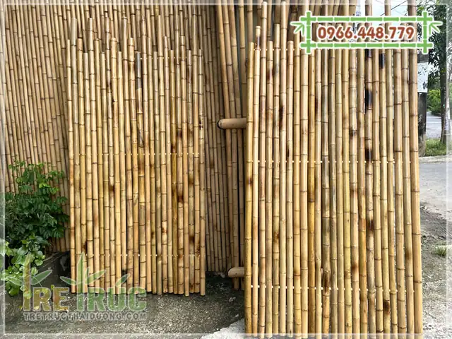 Hàng Rào Tre Trúc Trang Trí Sân Vườn Đẹp, Đơn Giản, Độc Đáo