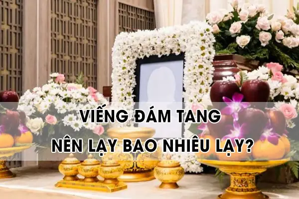 Cách Lạy Cúng Đám Ma: Quy Trình Chi Tiết Và Ý Nghĩa Tâm Linh Trong Văn Hóa Người Việt