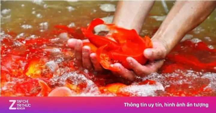 Cách Nấu Cháo Mật Cúng Ông Táo: Cẩm Nang Chuẩn Vị Dâng Thần