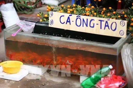 Cách Sắp Lễ, Mâm Cúng Tết Ông Công Ông Táo Đơn Giản, Chuẩn ...