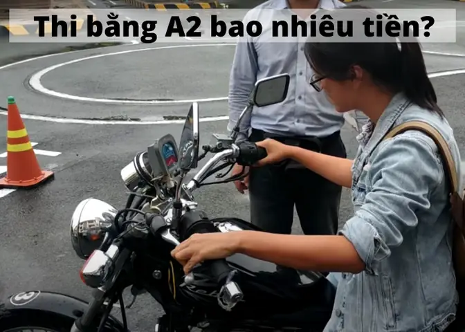 Cẩm Nang Thờ Cúng Ông Tử Vi Độ Mạng: Chi Tiết Từ A-z Cho Gia Chủ