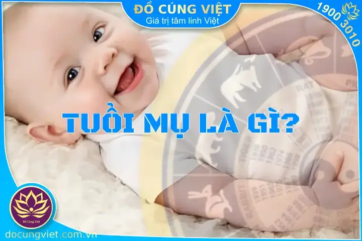 Cách Tính Tuổi Cúng Sao Hạn Chuẩn Xác Theo Phong Thủy Truyền Thống