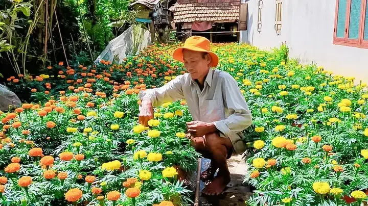 Thời Điểm Trồng