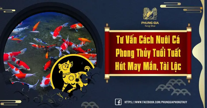 Muốn Thu Hút Nhiều Tài Lộc Nên Nuôi Cá Phong Thủy Tuổi Tuất ...