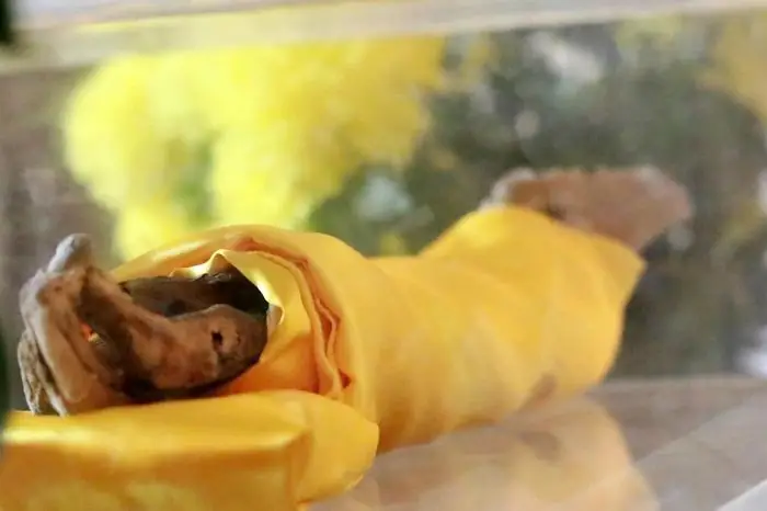 Sư Tự Chặt Cánh Tay Cúng Dường Chư Phật, 46 Năm Vẫn Không Phân ...