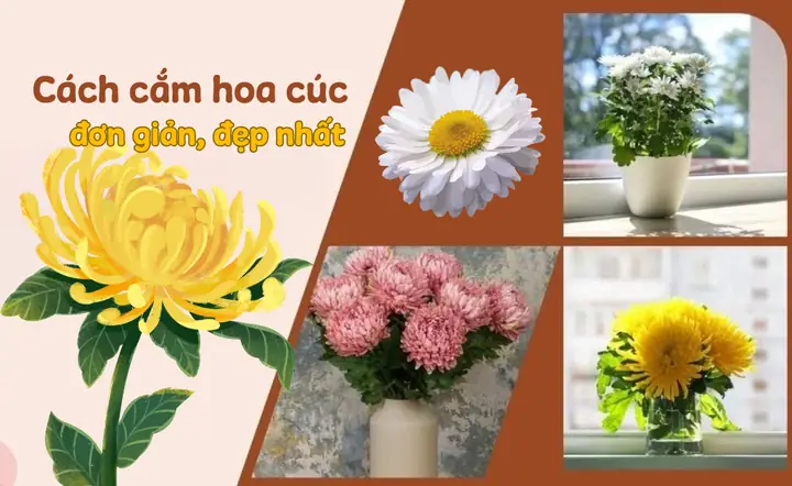 15 Cách Cắm Hoa Cúc Bàn Thờ Đơn Giản, Cắm Hoa Cúc Vàng Đẹp Nhất ...