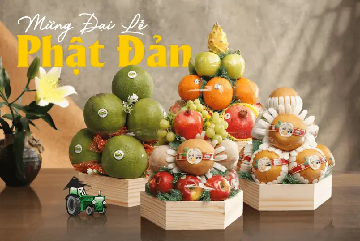 Loại Quả Dâng Hương Không Nên Bỏ Qua - Nông Trại Xanh