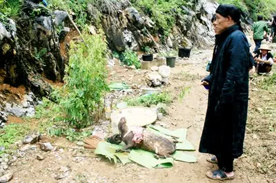 Lễ Cúng Thần Rừng Của Người Pu Péo