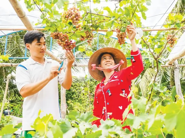 Cung Cách Xưng Hô Của Người Nam Bộ - Báo Cần Thơ Online