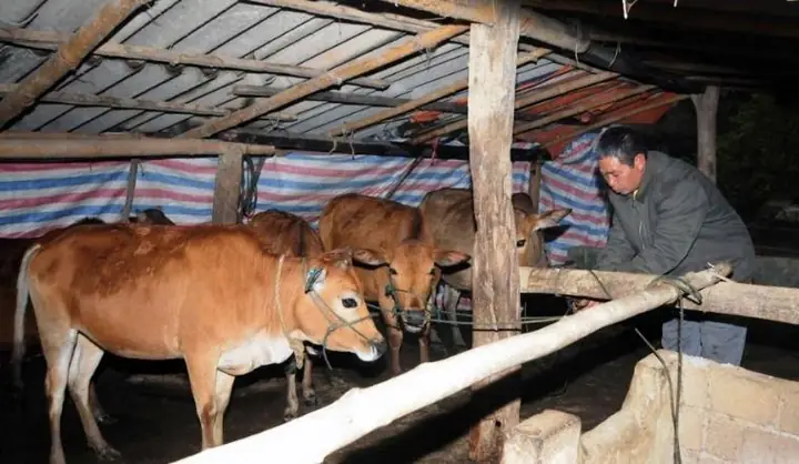 Văn Khấn Làm Chuồng Trại, Cúng Ông Chuồng Bà Chuồng Chuẩn