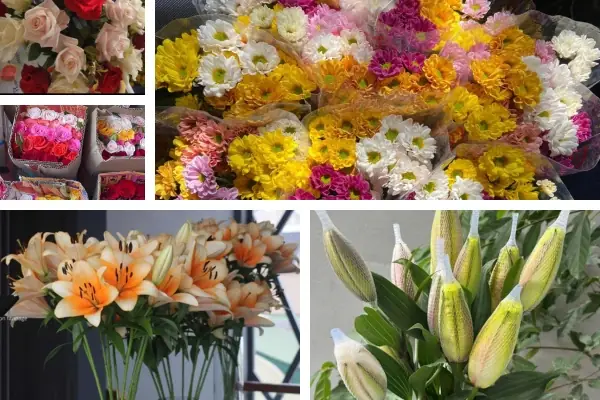 Top 5+ Loại Bông Cúng Đầy Tháng | Ý Nghĩa Của Từng Loại Bông