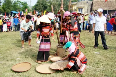 Lễ Hội Ăn Cốm Mới Của Người Bana Ở Bình Định