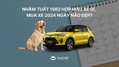 Nhâm Tuất 1982 Hợp Màu Xe Gì, Mua Xe 2024 Ngày Nào Đẹp?