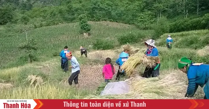 Ngọn Đuốc” Soi Đường Cho Đồng Bào Dân Tộc Mông Ở Mường Lát
