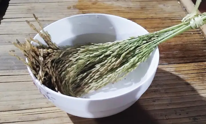 Lễ Vật Cúng Lúa Mới Của Người Tày - Báo Cao Bằng Điện Tử