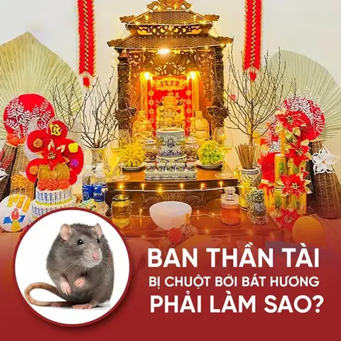 Cách Xử Lý Bàn Thờ Thần Tài Bị Chuột Phá Đúng Và Hiệu Quả