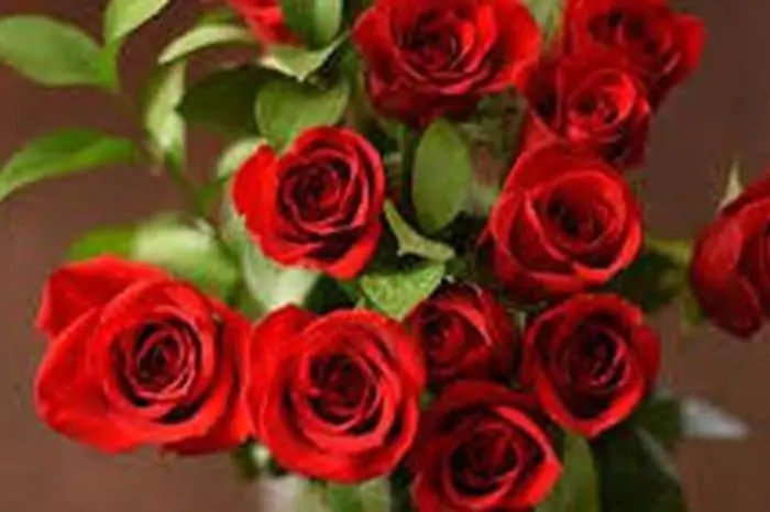 Không Chỉ Tết Đoan Ngọ, Mùng 1 Và Ngày Rằm Cắm Hoa Hồng Trên ...