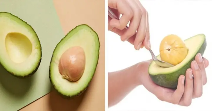 Công Dụng Bất Ngờ Của Hạt Bơ Không Phải Ai Cũng Biết