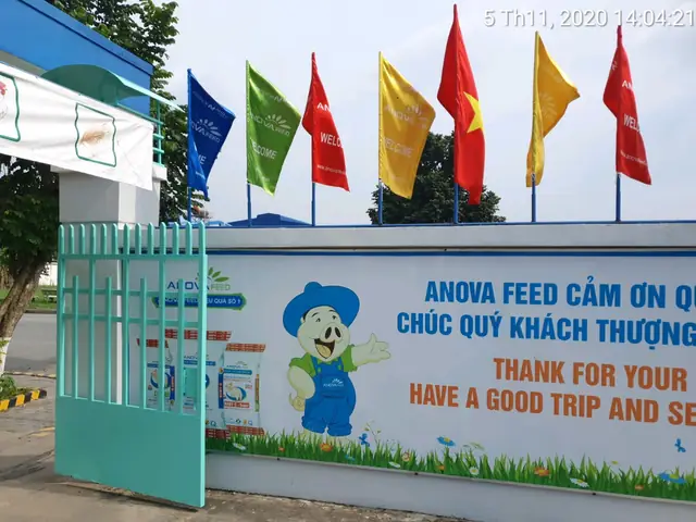 Cờ Phướn Nhiều Màu - Xưởng Chuyên Cung Cấp Cờ Phướn Chất ...