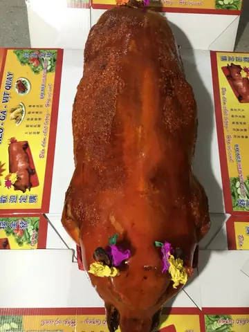 Heo Quay Cúng Đất Đai | 0937 710 488 - A.chiến