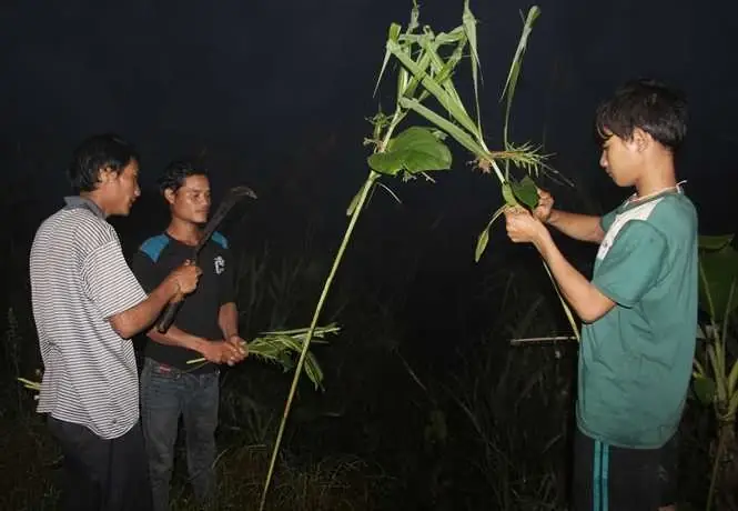 Kỳ Lạ Hủ Tục Mang Gà Trắng Đổi Gà Đen Cúng Cái Chết Xấu, Bịt Đường ...