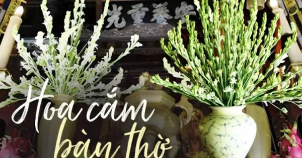 Ý Nghĩa Đặc Biệt Của Hoa Huệ Trắng Khi Cắm Trên Bàn Thờ Không Phải ...